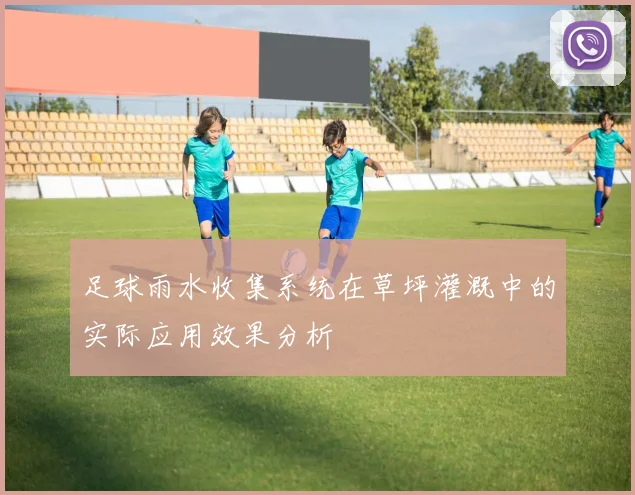 足球雨水收集系统在草坪灌溉中的实际应用效果分析